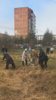 Сотрудники ДОУ присоединились к субботнику Сотрудники ДОУ присоединились к субботнику.